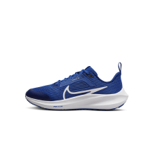 Nike Air Zoom Pegasus 40 (DX2498-400) in blau