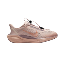 Nike Air Zoom Pegasus 41 EasyOn (FQ7844-601)