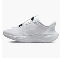 Nike Air Zoom Pegasus 41 EasyOn Pure Platinum Dark Smoke Grey womens (FQ7844-101)