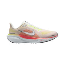 Nike Pegasus 41 (FQ0965-100)