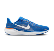 Nike Air Zoom Pegasus 41 (FZ5113-400)