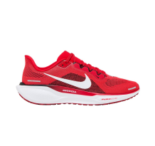 Nike Air Zoom Pegasus 41 (FZ5115-600)