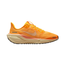 Nike Air Zoom Pegasus 41 (FN5041-801)