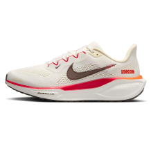 Nike Pegasus 41 Air Zoom (HV5985-101)