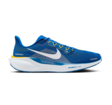 Nike Air Zoom Pegasus 41 (FZ5132-400)