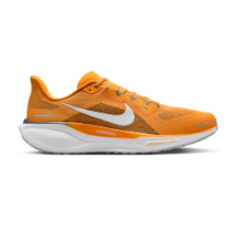 Nike Air Zoom Pegasus 41 (FZ5144 800)