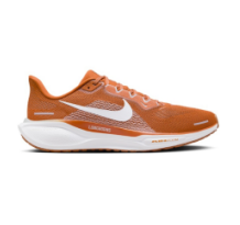 Nike Air Zoom Pegasus 41 (FZ5145-800)