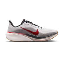 Nike Air Zoom Pegasus 42 Now Then Pack (IV5659-121)