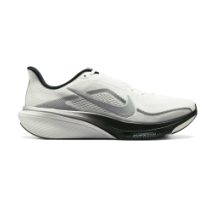 Nike Air Zoom Pegasus 42 Summit Metallic Silver (II7210-100)