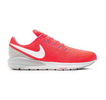Nike Air Zoom Structure 22 (AA1636-601)