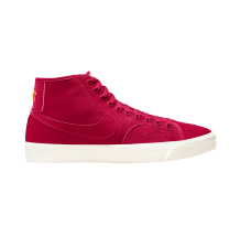 Nike Blazer Court Mid Premium SB (DH7479 600)