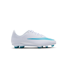 Nike Mercurial Vapor 17 Club FG MG (IO1487-102)