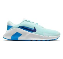Nike Flex Train (HV9972-401)