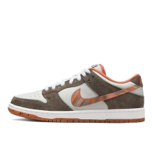 Nike Crushed D.C. x Dunk Low SB (DH7782 001)