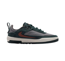 Nike Day One SB (FN4210-302)