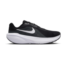 Nike Downshifter 14 (IB1895-002)