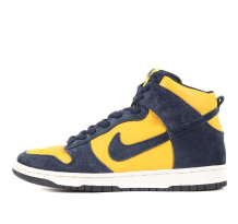Nike Dunk High Pro SB Michigan (305050 741)