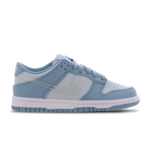 Nike Dunk Low GS Clear Swoosh (DH9765-401)