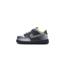 Nike Dunk Low TD (FQ8358-491)