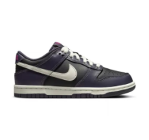 Nike Dunk Low (FB9109 003)