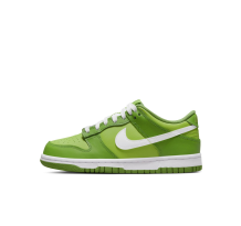 Nike Dunk Low GS Chlorophyll (DH9765-301)