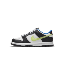 Nike Dunk Low (DQ0977-100)