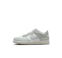 Nike Dunk Low (FB9108-124)