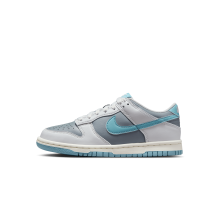 Nike Dunk Low (FB9109-008)