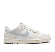 Nike Dunk Low GS (FB9109 109)