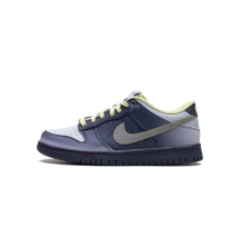 Nike Dunk Low GS (FQ8354-491)