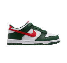 Nike Dunk Low (IO7453-323)