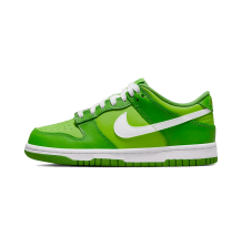 Nike Dunk Low Kermit (DH9765-3010)