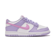 Nike Dunk Low (HQ1185 161)