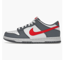 Nike Dunk Low Next Nature Smoke Grey Light Crimson GS (FB8038 001)