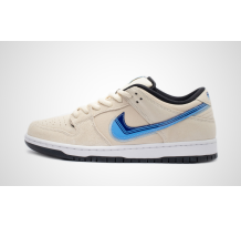 Nike Dunk Pro Truck It SB Low (CT6688-200)