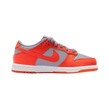 Nike Dunk Low (FB9108-011)