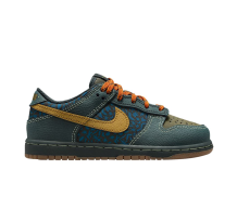 Nike Dunk Low (IH4043-364)