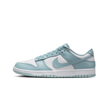 Nike Dunk Low Retro (DV0833-106) in weiss