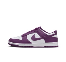 Nike Dunk Low Retro (DV0833 107) in weiss