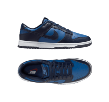Nike Dunk Low Retro (HF5441-402)