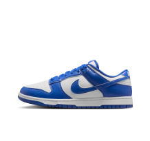 Nike Dunk Low (HF5441-112)