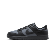 Nike Dunk Low (FZ3052-001) in schwarz