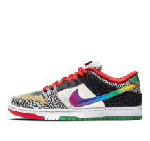 Nike Dunk Low SB What The (CZ2239-600)