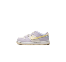 Nike Dunk Low SE TD (FJ4643-536)