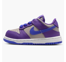 Nike Dunk Low Wild Grape td (FB9107-007)