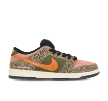 Nike Arts-Rec X Nike SB Dunk Low (IH3211-200)