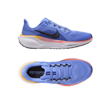 Nike Pegasus 41 (FD2723-402)