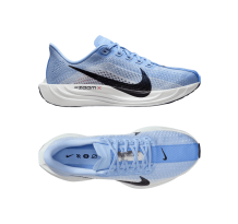 Nike Pegasus Plus Aluminum Royal Pulse (FQ7261-402)