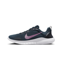 Nike Flex Experience Run 12 Stra (DV0746-401) in blau