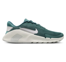 Nike Flex Train (HV9972-302)